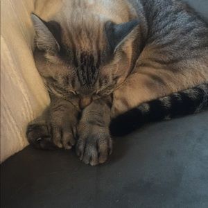 Meet your Posher, Philomena